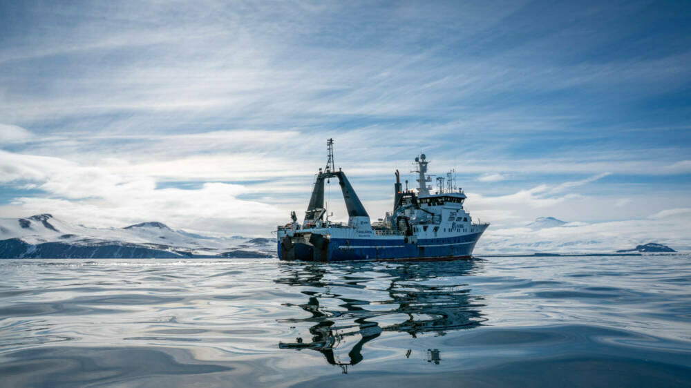 2021 02 02 Tangaroa workboat Terranova DSC4294