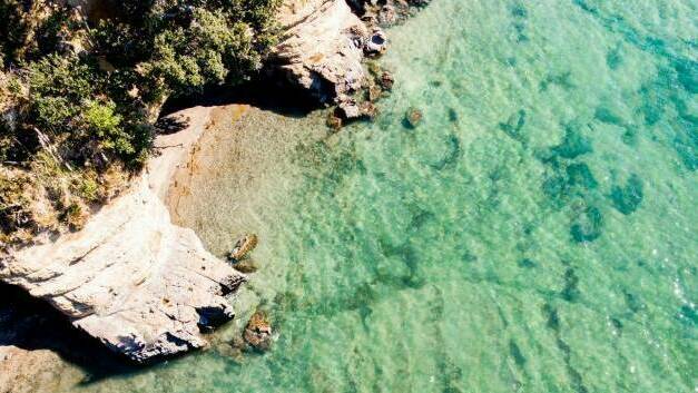 CREDIT Greg Lois Nunes Unsplash greg lois nunes unsplash Whangaparoa