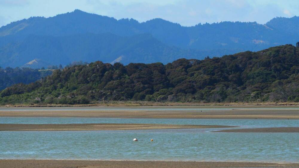 Ecological responses to cumulative effects CREDIT Charlotte Panton Sustainable seas National Science Challenge