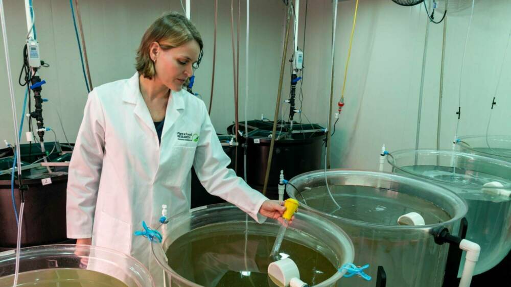 Maren Wellenreuther DSC4345 Edit resized