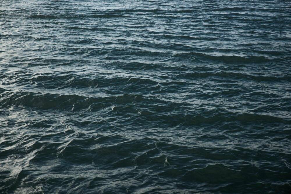 Ocean DSC1997 1 resized