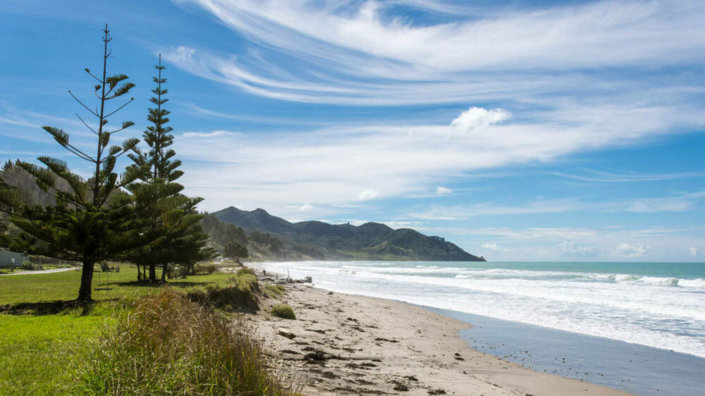 Waipiro Bay CREDIT Shellie Evans Photography