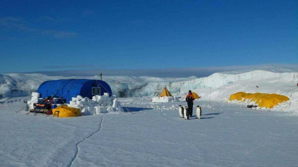 Emperor penguin camp 2019 20