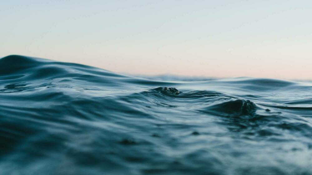 Matt hardy 6 Ar T Tluciu A unsplash