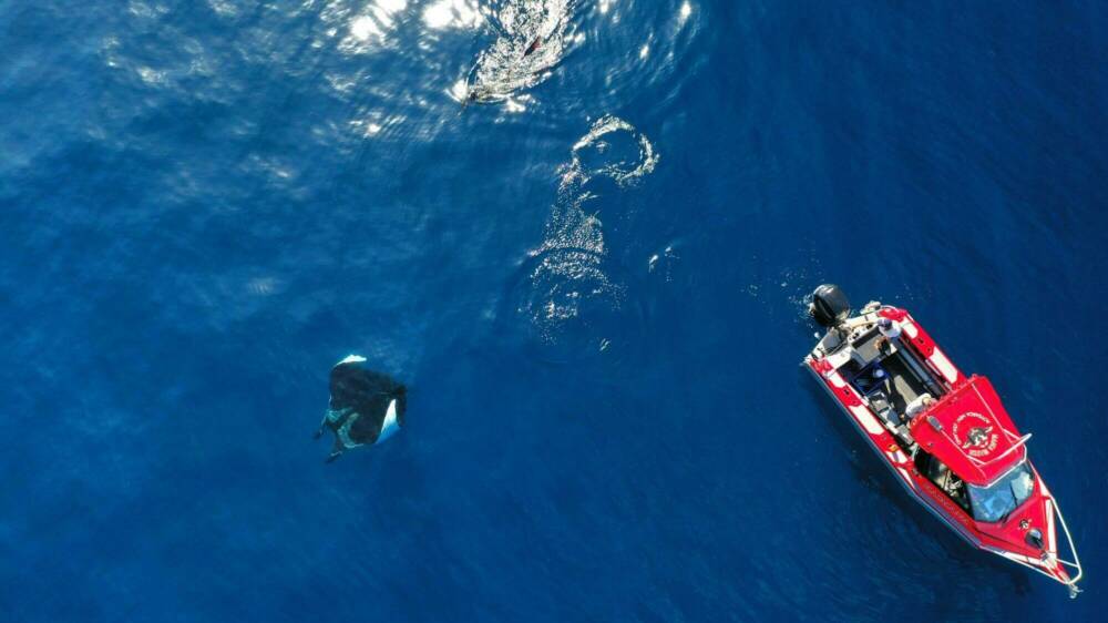 20230122 Edy Setyawan