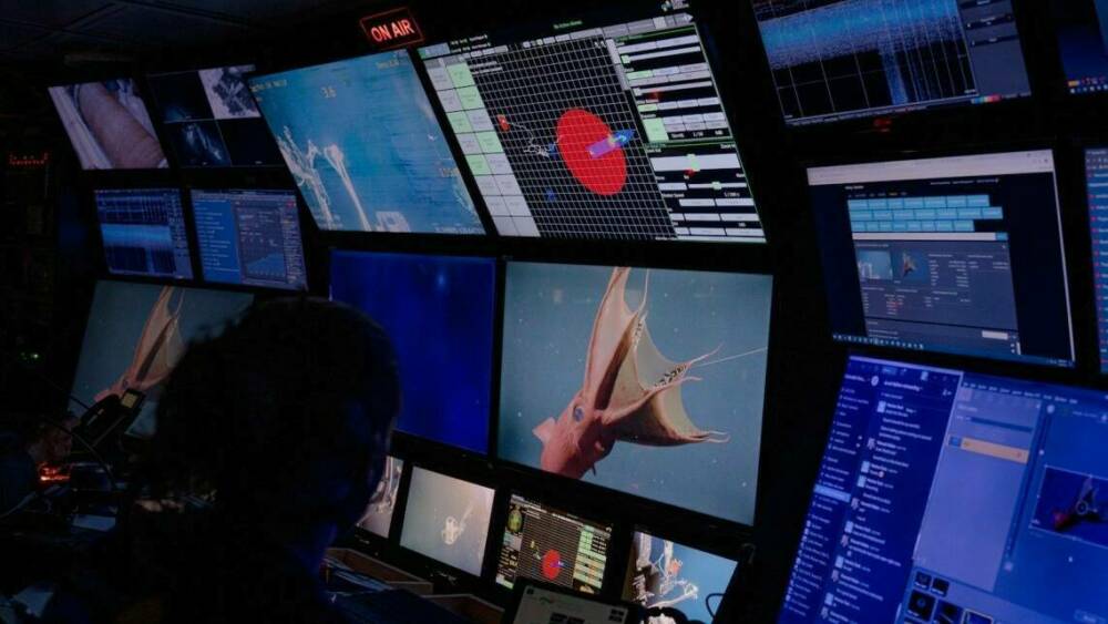 FK210812 2021820 Kaitlyn Becker Control Room Tamayo 396 1140x760