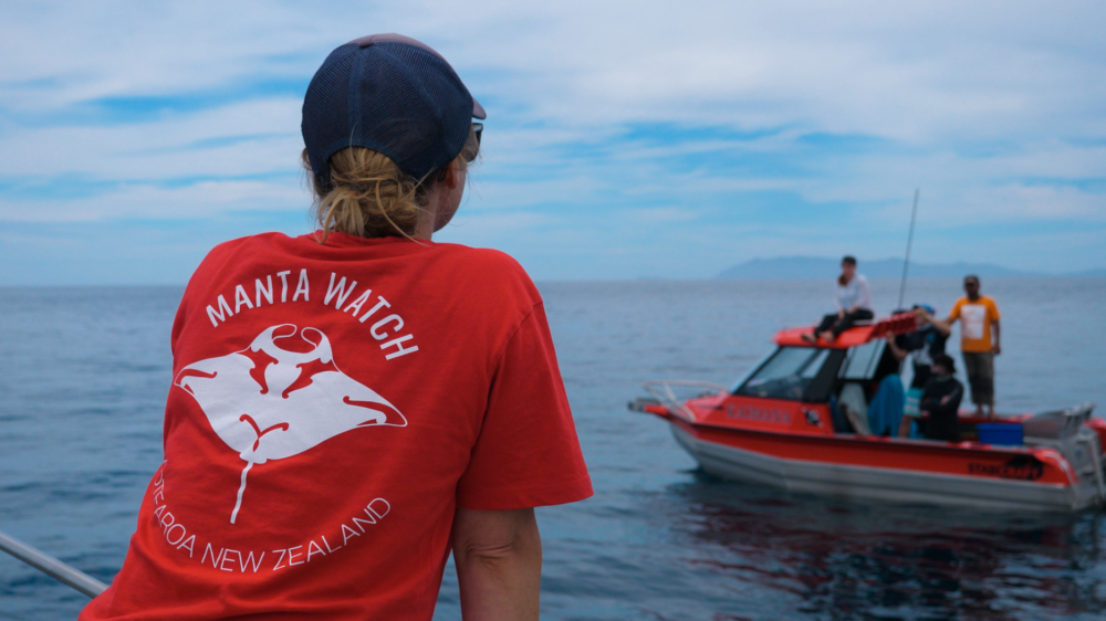 Hauraki Gulf Suvery Jan 2022 image credit Rebecca Pratt