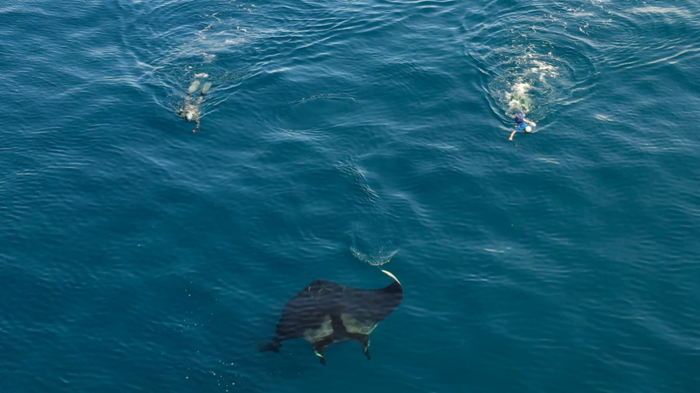 In water observations Edy Setyawan 2021