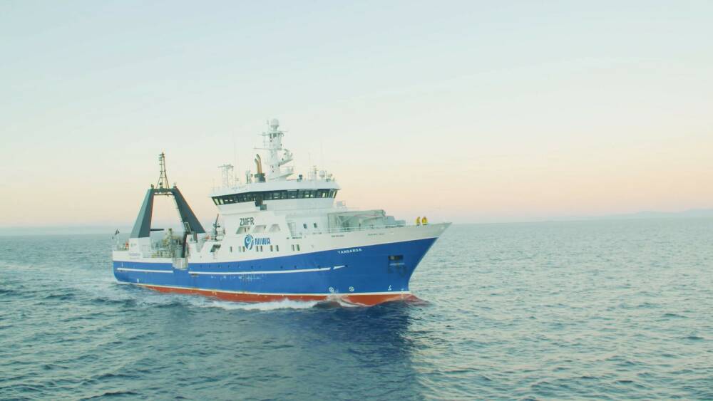 Tangaroa Pic 1 1 8 1