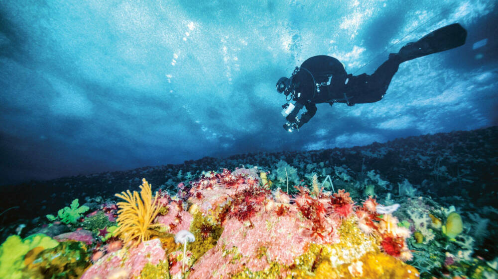 Underice DSC9170 credit peter marriott