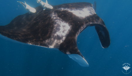 Image credit Lydia Green 4