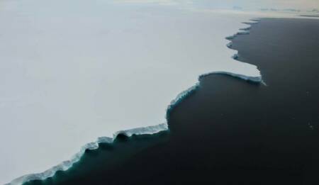 Project 2 R Mac Neil