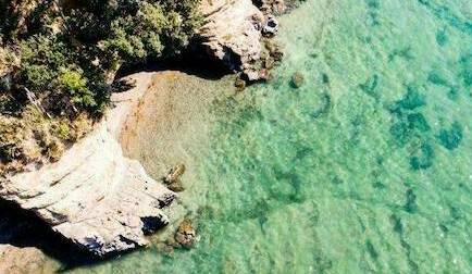 CREDIT Greg Lois Nunes Unsplash greg lois nunes unsplash Whangaparoa 2021 05 24 195329 torj