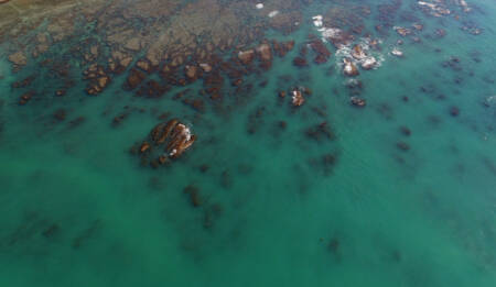 Te Tahuhu Matatau Empower kaitiaki of Tangaroa CREDIT Regan Fairlie