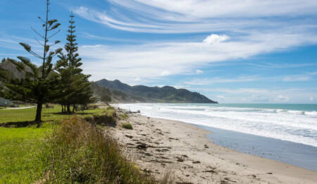 Waipiro Bay CREDIT Shellie Evans Photography